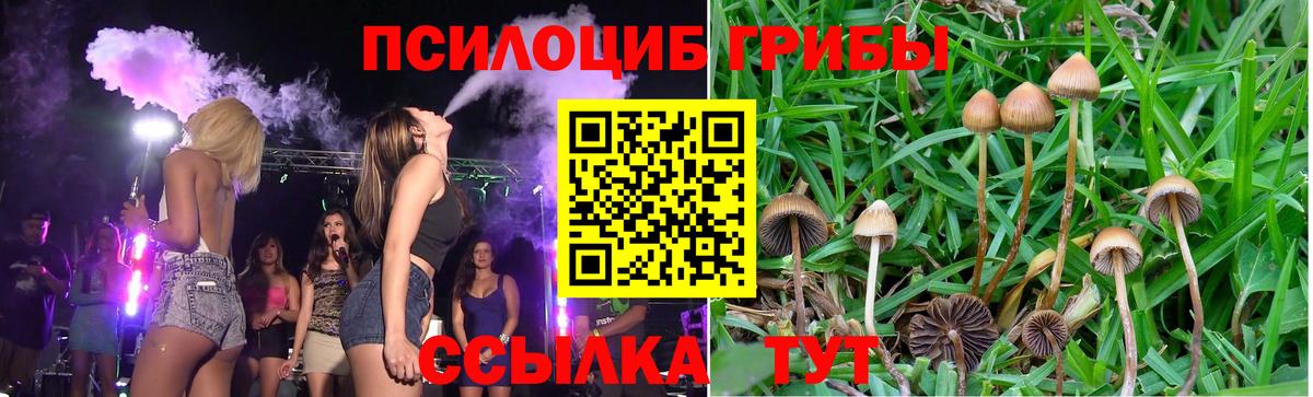 Псилоцибиновые грибы Magic Shrooms Новокубанск