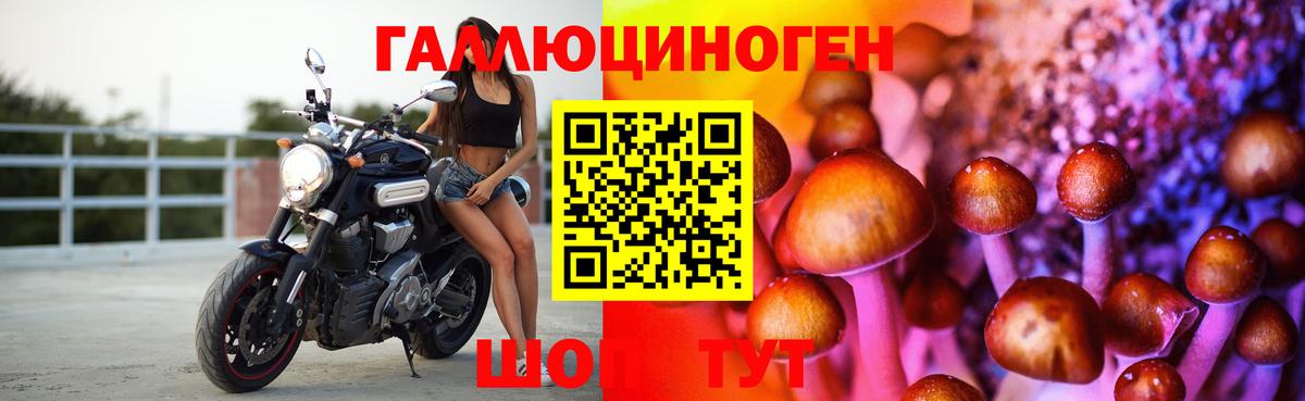 Новокубанск  Галлюциногенные грибы Magic Shrooms  Вход с VPN 